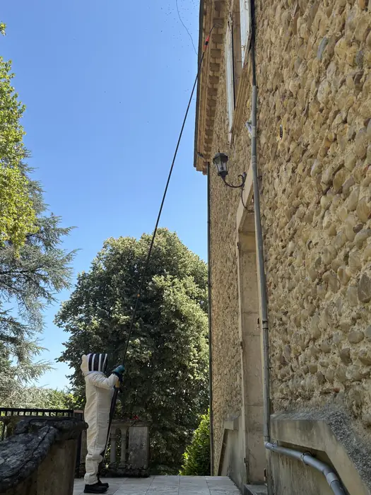 Traitement à la perche télescopique d'un nid installé sous la corniche d'une maison