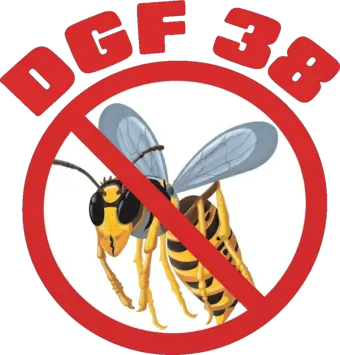 DGF 38